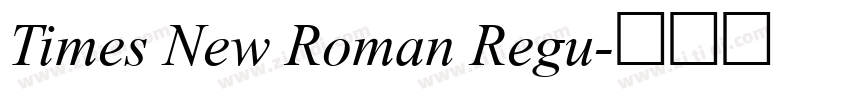 Times New Roman Regu字体转换